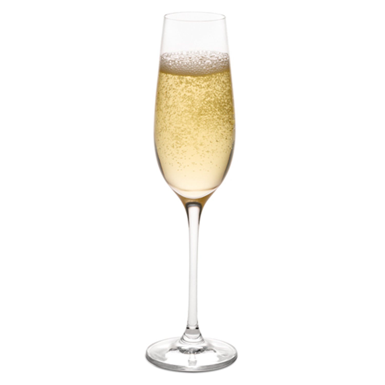 Titanium Pro Champagne Glass (Master Carton of 24)