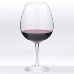 Load image into Gallery viewer, Invisibles Burgundy/Pinot Noir Glass (Set of 4)