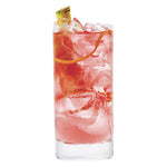 Load image into Gallery viewer, Titanium Pro Highball Glass (Master Carton of 24)