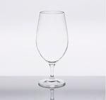 Load image into Gallery viewer, SAMPLE: Titanium Pro Water/Beer Glass