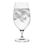 Load image into Gallery viewer, SAMPLE: Titanium Pro Water/Beer Glass