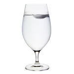 Load image into Gallery viewer, SAMPLE: Titanium Pro Water/Beer Glass