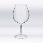 Load image into Gallery viewer, Invisibles Burgundy/Pinot Noir Glass (Set of 4)
