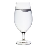 Load image into Gallery viewer, SAMPLE: Titanium Pro Water/Beer Glass
