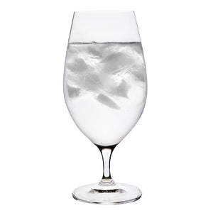 SAMPLE: Titanium Pro Water/Beer Glass